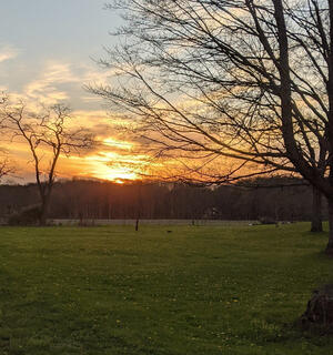 *Ground by Horses. Lifted by Healing* Ground by Horses. Lifted by Healing